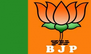 ભાજપના બીજા 28 ઉમેદવાર જાહેર